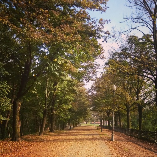 autunno 4 (2)